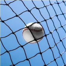 Baseball in net