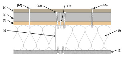 Illustration of light-weight cladding (≤3 psf) attachment through maximum 2&quot;-thick FPIS to minimum 7/16&quot;-thick wood structural panel (WSP) sheathing