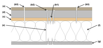 Light-weight cladding (≤3 psf) attachment through maximum 2"-thick FPIS to minimum 7/16"-thick wood structural panel (WSP) sheathing Illustration of light-weight cladding (≤3 psf) attachment through maximum 2"-thick FPIS to minimum 7/16"-thick wood structural panel (WSP) sheathing